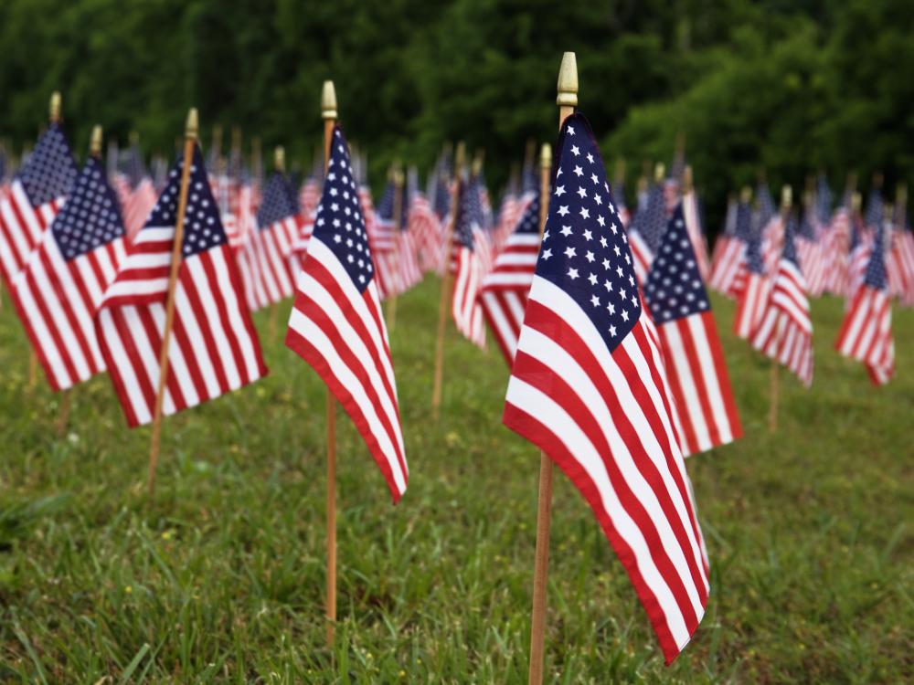 Rows of small American flags placed in a grassy field in honor of Veterans Day.