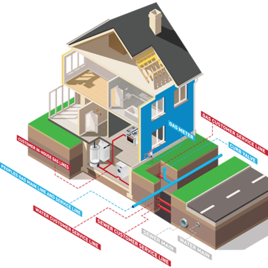 Protection program house Graphic