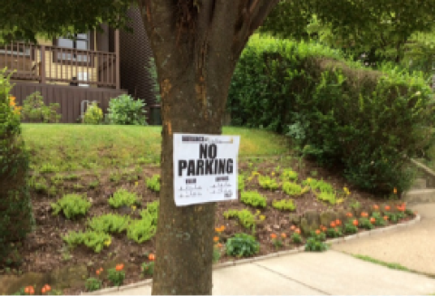 A “No Parking” sign is posted on a tree along a sidewalk in a landscaped residential area.