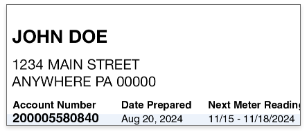 Account information – Customer name, address, account number, and billing dates.