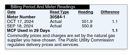 Meter readings – Billing period dates, meter readings, and gas usage.